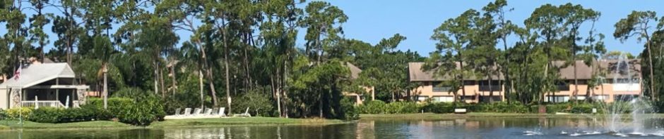 Sandy Pines of Bay Forest